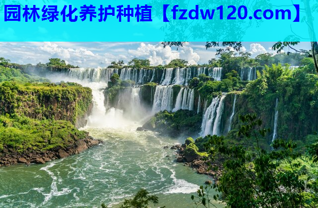 园林绿化养护种植