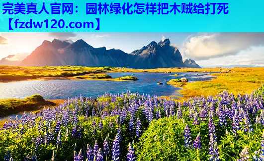 完美真人官网：园林绿化怎样把木贼给打死