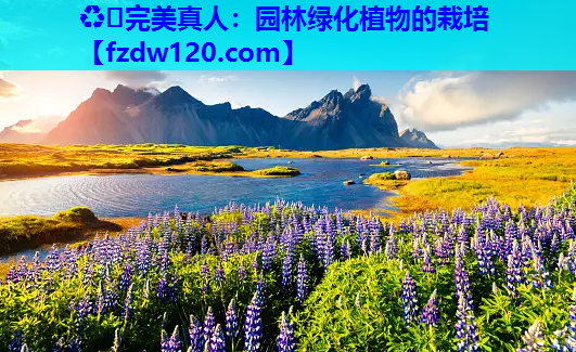 ♻️完美真人：园林绿化植物的栽培