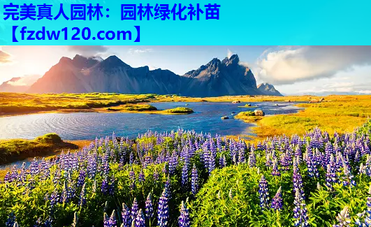 完美真人园林：园林绿化补苗