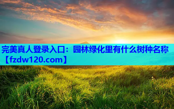 完美真人登录入口：园林绿化里有什么树种名称