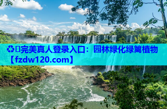 ♻️完美真人登录入口：园林绿化绿篱植物