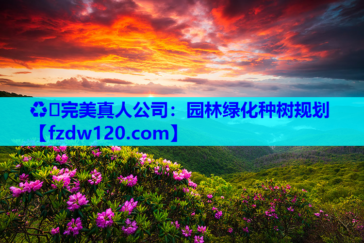 ♻️完美真人公司：园林绿化种树规划