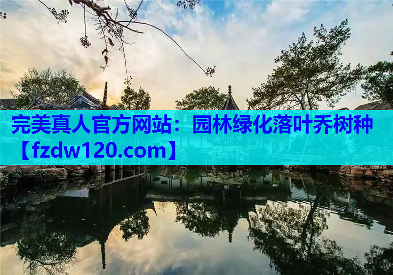 完美真人官方网站：园林绿化落叶乔树种
