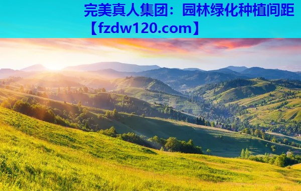 完美真人集团：园林绿化种植间距