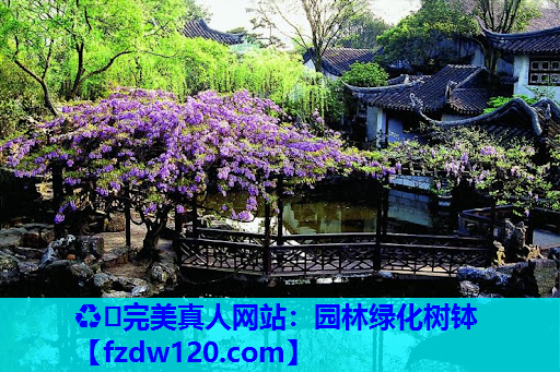 ♻️完美真人网站：园林绿化树钵