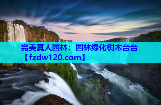 园林绿化树木台台