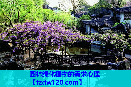 园林绿化植物的需求心理