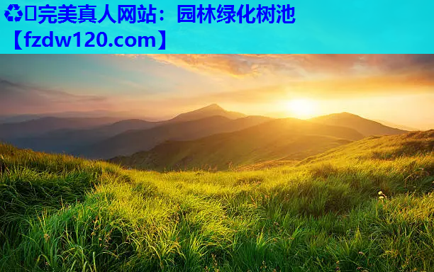 园林绿化树池