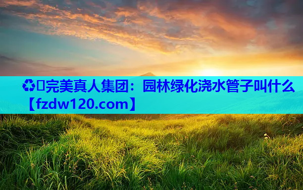 园林绿化浇水管子叫什么