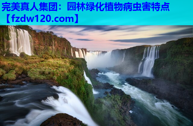 园林绿化植物病虫害特点