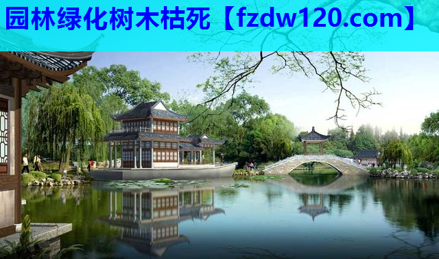 园林绿化树木枯死