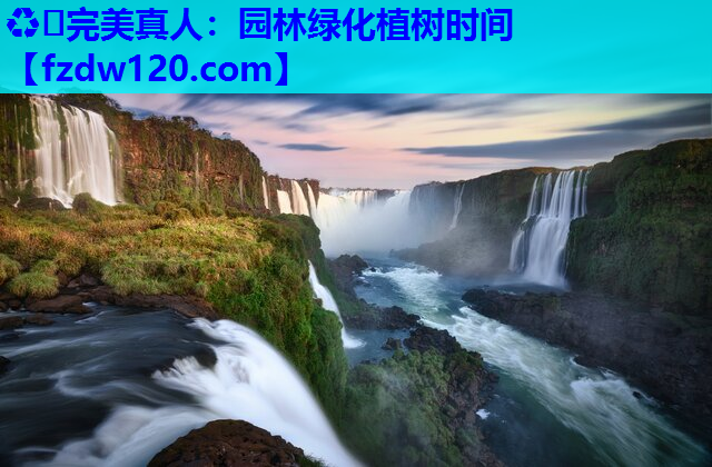 园林绿化植树时间