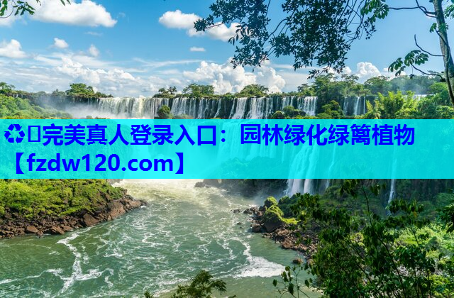 园林绿化绿篱植物