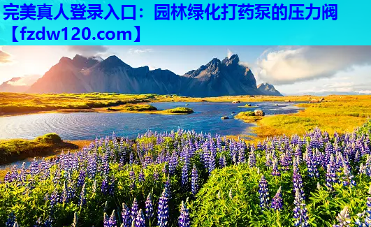 园林绿化打药泵的压力阀
