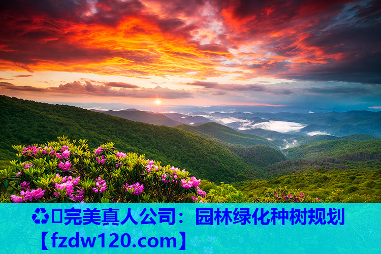 园林绿化种树规划