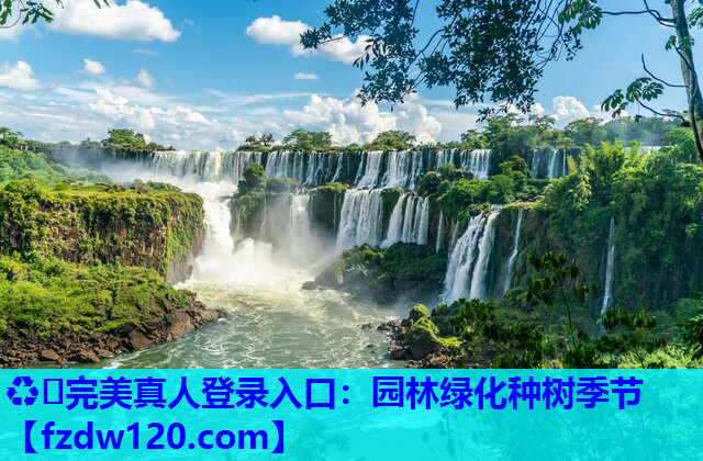 园林绿化种树季节