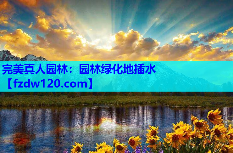 园林绿化地插水