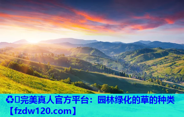 园林绿化的草的种类