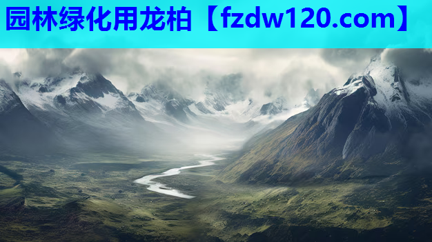 园林绿化用龙柏