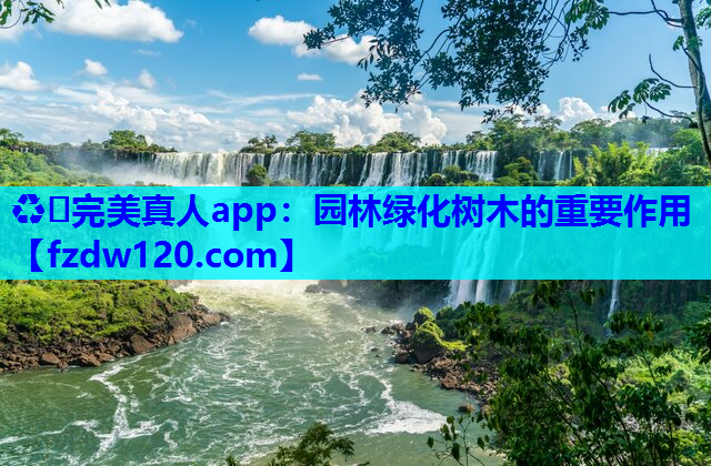 园林绿化树木的重要作用