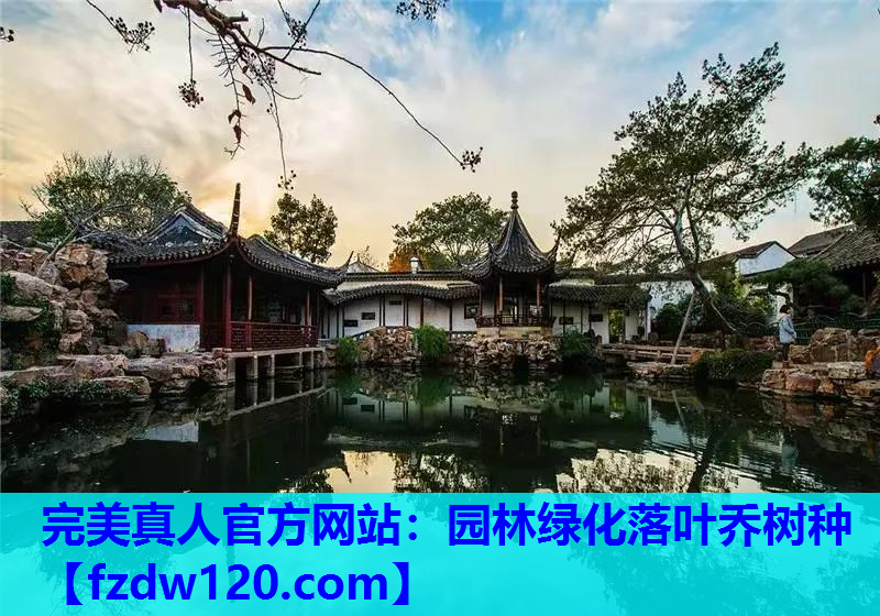 园林绿化落叶乔树种